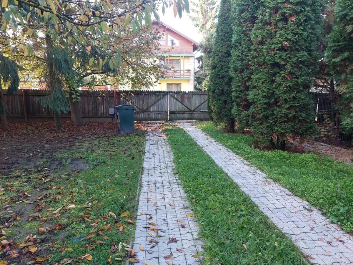 Sîngeorgiu de Mureş Apartamente Bobo מראה חיצוני תמונה