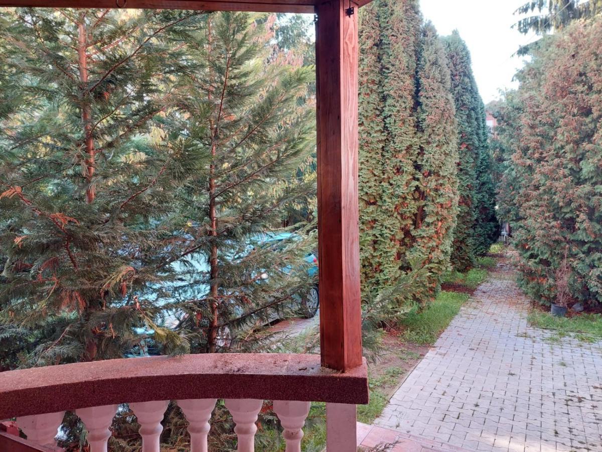 Sîngeorgiu de Mureş Apartamente Bobo מראה חיצוני תמונה